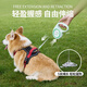 KimPets dog leash p rope retractable leash cute illustration pattern automatic retractable dog rope pet supplies