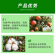 Sodium nitrophenolate can root and strengthen seedlings, promote flower bud differentiation, preserve flowers and fruits, increase fruit setting rate, and eliminate pesticide damage regulator 500g
