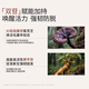 roye若也防脱固发洗发水无硅油丰盈强韧赋能洗发液蓬松洗头膏208ml