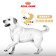 Royal Dog Food Labrador Adult Dog Food Dog Food Pet Large Dog LR30 Full Price Dog Food 15 3KG