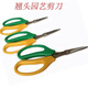 Nufeng Grape Special Scissors Stainless Steel Upturned Head Gardening Scissors Vegetables and Fruits Thin Fruit Pruning Flower Branches Pepper Picking Fruit Orange Picking 3 Upturned Head Grape Scissors