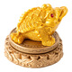 Carved feather golden toad color-changing tea pet ornaments can be raised creative tea set tea tray tea table tea raising tea table decoration high-end decoration rotating rich armor golden toad