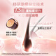 施华蔻（Schwarzkopf）丰盈韧养洗护套装(洗400ml+润400ml)(控油 发根蓬松丰盈)