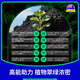 Tang Benchen's Lvqing Phytovitin saves yellow leaves and fallen leaves, Potassium Fulvic Acid, Money Tree Flower Nutrient Solution, Foliar Fertilizer, Pest Recommendation: 1 bottle of energizer + 1 bottle of insecticide