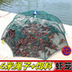 Ground net, lobster net, fish and shrimp cage, fish net, can not come out, only enters the fishing net to fish eel cage, loach ground net, thickened and reinforced four holes (with bait + pull rope