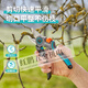 Pupan German imported gardening pruning shears, garden fruit tree pruning shears, special bonsai flower scissors, shear? 22mm, liquid nitrogen low temperature hardening 60HRC expert