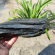 Fish tank stone ornamental stone original tank black gold fine schist turtle basking back schist landscaping platform fish tank climbing pet vacation 10Jin Jin equals 0.5kg small stone pile 5-10cm