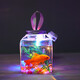 Canned fish stall artifact 500ml Internet celebrity square light-emitting small goldfish tank night light night market stall betta fish tank Square canned fish 5 sets (5-piece set, fish not included)
