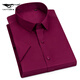 Septwolves Shirt Herren kurzärmeligte Baumwollgeschäft formelle Karriere als Büroangestellte Karriere halbärmelig Hemd DX6630 38