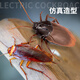 Shantoulin Village Internet célébrité induction électrique Cockroach pour enfants Toys Boys and Little Girls Black Technology Prank Discompression Artefact [Mini Version - Sensor Cockroach] Brown 9902A + Tournevis Norme officielle Standard