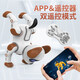 JJR Intelligent Roboter Hund Kinder Fernbedienung Spielzeug Welpe Roboter Voice Conversation Dancing und Gehen werden Jungen anrufen. Aktualisierte Version von Special Stunt Dog Brown Fernbedienung + Mobile App + Standardversion mit einem wiederaufladbaren Akku