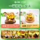 Jingshuo Qingqian Liu Danshen Murata Leaf Double Melon Tea Gypsum Blue Corn Scarf Bruce Melon Buckwheat Health Tea Gift Box for Parents and Elders