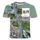 Jiaojing Textbook Clothes History Geography Textbook: Summer T-shirts Primary and Secondary School Students and Teenagers 3D Printing Trends Local Politics 1 TXU1278 One Size 140 Suitable for weight 50-60 Jin [Jin equals 0.5 kg]