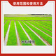 Guoguang Guoguang 15% paclobutrazol rice seedling field growth control and anti-leggy plant growth regulator 18g
