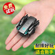 
DJH DJH drone mini aerial photography professional quadcopter primary school students remote control aircraft entry-level children's toy helicopter 6K dual camera (540 obstacle avoidance) black 3 batteries (breaking and replacing new + remote control battery + easy damage