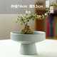 
Wholesale non-porous rice and bamboo hydroponic flower pot ceramic petal moss ball flower pot Jianshan green plant calamus Brazil wood bonsai TX small flat mouth JW1098 gray sand ceramic medium