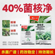 40% sclerotium purified sclerotinia, red spot, gray mold, sheath blight, rapeseed, pepper, cucumber pesticide and fungicide 20g*10 bags