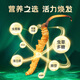 藏幽正宗冬虫夏草礼盒装滋补品头期干虫草送长辈父母领导营养品礼物 【自用 送礼】4根/克-20克-80根【性价比款】