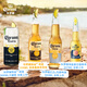 CORONA premium beer 330ml*24 bottles of beer full box classic lager OCC