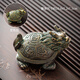 Tangfeng (TANGFENG) color-changing tea pet small ornaments can raise tea insects, creative turtle tea play, tea accessories on the new Chinese tea table, color-changing turtles