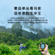 第王乌岽鸭屎香14克潮汕茶叶凤凰单枞茶高山乌龙茶特级单丛茶叶品鉴装 乌岽东方红14g*1盒 14g