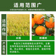 Jianpai 10% Uniconazole pesticide, citrus and lychee shoot control flower promoter, control shoot growth, control pepper harvest old drug Uniconazole 10g*5 bags