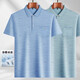 SEPTWOLVES [Father's Day Gift] Summer New Middle-aged Men's Lapel Short Sleeve T-shirt for Middle-aged and Elderly Men Loose Thin Body Ice Silk-9855 Gray True Pocket M 48/165