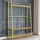 Kleiderregal bodenhaftes Schlafzimmer Kleidung Kleiderbügel Balkon Haushalt Kleidung Kleidung Aufbewahrungsbügel Aufbewahrung 9853 Gold [Länge 120 Breite 38 Höhe 170]