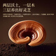 
Zhizhengyuan Breaking Wall Ganoderma lucidum Spore Powder Gift Box Enhances Immunity Health Products Nutritional Products Parents Gift [12 Boxes] Enhances and Improves Immunity