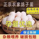 Authentic farm-raised fresh free-range pigeon eggs, now picked up and found, supplementary food for pregnant women and babies, farm-raised grain-fed pigeon eggs, 20 pieces