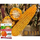 East Asia small steel gun Dongdan 1331 corn seed original first generation hybrid corn seed storage corn seed 2 bags/Dongdan 1331-about 6000 grains per bag