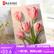 Manlang Tulip DIY digital oil painting difficult to pass the time to relieve boredom Hand-painted oil painting Living room hanging painting SJ13969 30*40cm solid wood inner frame + brush paint
