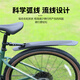 捷安特（GIANT）GAINTATX620/660/720/810/830/860/800820山地自行车挡泥板 捷安特XTC800/820/SL车型专用前后泥板