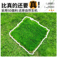 Linya high-end artificial lawn outdoor fake turf green carpet plastic mat outdoor landscaping balcony courtyard court 2cm-5D upgraded extra dense spring grass-black back 2 meters wide X 10 meters long