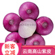 
[Eat raw slightly sweet] Gansu Jiuquan purple onion fresh red onion round onion 5 Jin [Jin equals 0.5 kg] Cheap vegetables for formaldehyde removal, high-quality selection of onion 13586 single_5 Jin [Jin equals 0.5 kg]