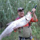 Buguilile pas mandarin Lure Rod 25 Horse Lance Competition Super Fast Tone GT Mandarin Fish Black Pit Perch 25 Horse Lance Competition / Gun Gunche C682MH