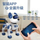 JJR Intelligent Roboter Hund Kinder Fernbedienung Spielzeug Welpe Roboter Voice Conversation Dancing und Gehen werden Jungen anrufen. Aktualisierte Version von Special Stunt Dog Brown Fernbedienung + Mobile App + Standardversion mit einem wiederaufladbaren Akku