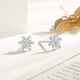 Chao Acer Frosty Snowflake Platinum Earrings Women's PT950 Earrings for Girlfriend's Birthday Gift Priced at RMB 170 0.85g One Pair Contains Silicone Ear Plugs