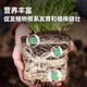Siweibo nutritional soil for growing vegetables and flowers, general-purpose organic flowering soil, planting soil, soil for green plants, potted peat, 40Jin Jin is equal to 0.5kg, organic general-purpose nutritional soil