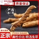 北京同仁堂【黑色星期五】冬虫夏草虫草正宗滋补养生自用王头期新鲜干货 一支装