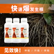 Guoguang Root Promoting Rapid Rooting Liquid Powder Seedlings Flower Cuttings Transplanting Indotenyl Acetic Acid Guoguang Genpan 200ml*20 Bottles
