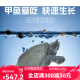 Yongsheng turtle feed Chinese water fish feed special pellet turtle seedling feed turtle turtle turtle universal turtle Yongsheng turtle feed 12049g 0 bottles sinking bottom type