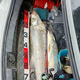 Buguilile pas mandarin Lure Rod 25 Horse Lance Competition Super Fast Tone GT Mandarin Fish Black Pit Perch 25 Horse Lance Competition / Gun Gunche C682MH