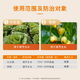 Guoguang Tiandu 8% amino acid ester increases photosynthetic rate, chlorophyll synthesis, Chinese cabbage and jujube trees regulate growth official authentic 500g*1 bag