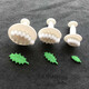 Topological leaf mold plant leaf embossing mold rose leaf cartoon steamed bun shape baking biscuit fondant egg rose leaf (set of 3)