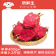 Jingxiansheng Red Heart Dragon Fruit Extra Large Fruit 4 pieces, single fruit 400g, net weight 3.2Jin Jin equals 0.5kg fresh fruit