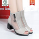 Woodpecker 2025 Été Nouveau talon haut talon Boots Fish Mouth Sandales Générette en cuir épais Talon Femme Creux Bottes courtes Mesh Chaussures pour femmes