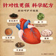 北京同仁堂青钱柳玉米须桑叶降压茶辅助降血压高血压特三高茶降血血糖脂压茶 【买2送1 无用可退】-体验装