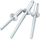 Tianzhuo Hardware National Standard Aluminum Blind Rivets Aluminum Rivets Round Head Blind Rivets Open Shape M2.4M3.2M4M5mm M4*6 10000 pcs/box