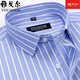 Yageor Flaggschiff offizielles Geschäft für Kurzärärmel-Hemd von Hemd Pure Cotton Business Casual Professional Anzug Anti-Falten-freies Bügel mit mittlerem Alter DX6636 43 Vorschläge [170-180jin [Jin entspricht 0,5 kg]]